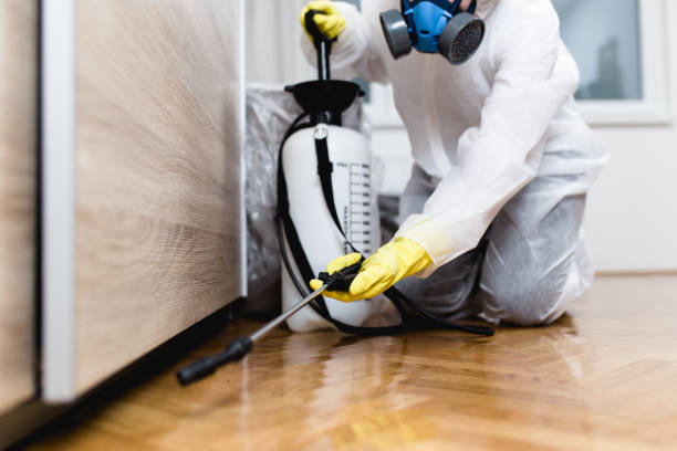 Best Pest Control Near Me in Webster Groves, MO