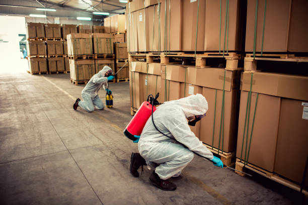 Best Residential Pest Control  in Webster Groves, MO