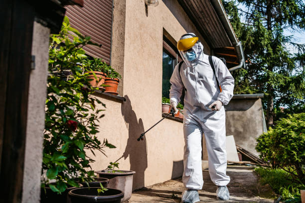 Best Best Pest Control Companies  in Webster Groves, MO