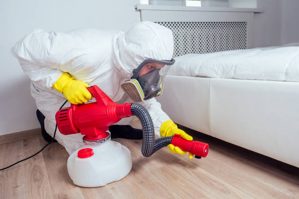 Best Pest Inspection Near Me  in Webster Groves, MO