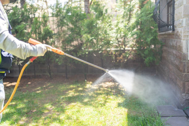 Best Affordable Pest Control Services  in Webster Groves, MO